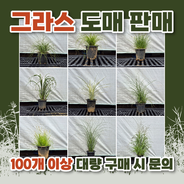 [������] �׶� 7ȣȭ�� 100���̻� �뷮 ���� ���� ī�� ��� ���� ������ ��ǰ